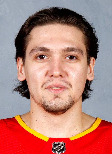 Artem Zagidulin hockey player photo