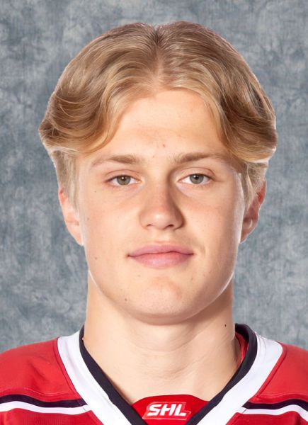 Elias Pettersson hockey player photo