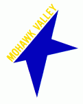 Mohawk Valley Stars 1982-83 hockey logo