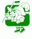 Salem Raiders 1981-82 hockey logo