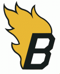 Oklahoma City Blazers 1971-72 hockey logo