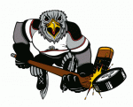 Detroit Falcons 1993-94 hockey logo