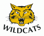 St. Thomas Wildcats 1991-92 hockey logo