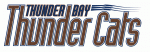 Thunder Bay Thunder Cats 1996-97 hockey logo
