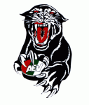 Augsburg Panthers 2001-02 hockey logo