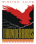 Winston-Salem Thunderbirds 1989-90 hockey logo