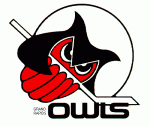 Grand Rapids Owls 1979-80 hockey logo