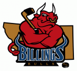 Billings Bulls 2005-06 hockey logo