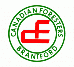 Brantford Foresters 1972-73 hockey logo