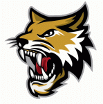 Vermilion County Bobcats 2022-23 hockey logo