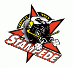 Central Texas Stampede 1996-97 hockey logo